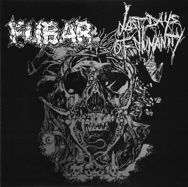 (image for) Fubar / Last Days of Humnity - Split 9 inch